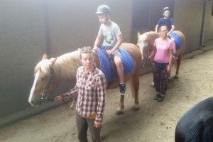 20180605_111535 (Kopiowanie)