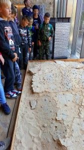 DSC_0131 (Kopiowanie)