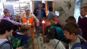 DSC_0134 (Kopiowanie)