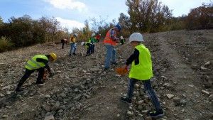 DSC_0140 (Kopiowanie)