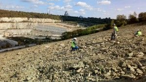 DSC_0142 (Kopiowanie)