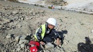 DSC_0144 (Kopiowanie)