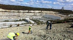 DSC_0145 (Kopiowanie)