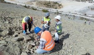 DSC_0158 (Kopiowanie)