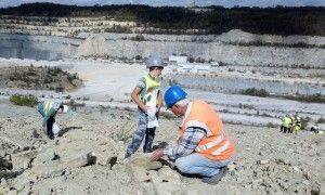 DSC_0159 (Kopiowanie)