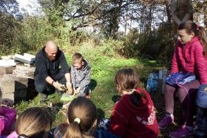 DSC_0415 (Kopiowanie)