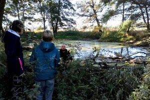 DSC_0431 (Kopiowanie)