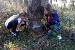 DSC_0435 (Kopiowanie)