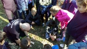 DSC_0449 (Kopiowanie)