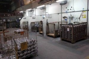 DSC_0727 (Kopiowanie)