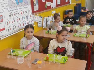 W krainie eksperymentów