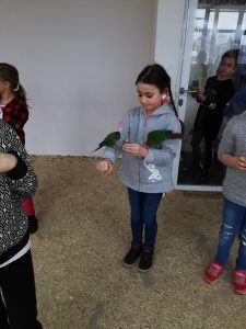 Wycieczka do Papugarni Rio w Zielonej Górze