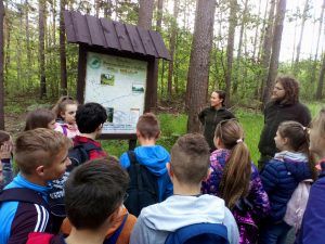 Spacer Leśną Ścieżką Edukacyjną -" Do wieży"