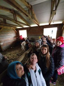 W Alpakowej Zagrodzie