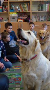Dogoterapia w naszej szkole