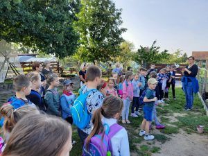 Odwiedziny w Alpakowej Zagrodzie