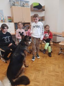 na zdjęciu chłopiec wydaje polecenia psu