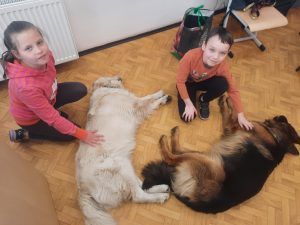 na zdjęciu dzieci głaszczą leżące psy