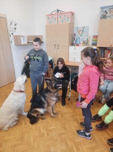 na zdjęciu chłopiec wydaje polecenia psu