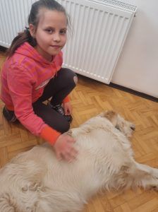 dziewczynka głaszcze psa