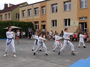 pokaz karate