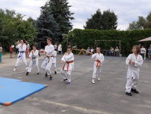 pokaz karate