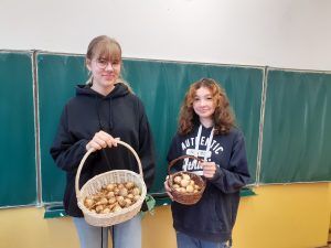 Mistrzowie wolontariatu