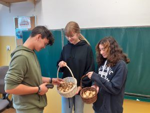 na zdjęciu uczeń kupujący od wolontariuszek cebulki żonkili