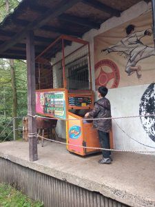 uczeń rzuca piłką do kosza