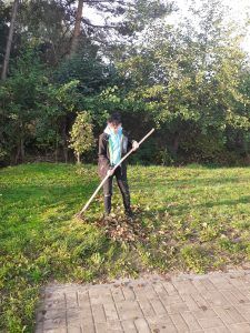 wolontariusz zgrabiający liście