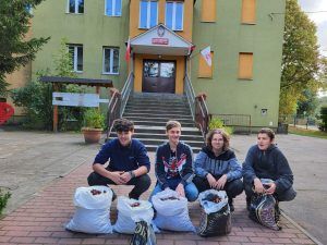 czwórka wolontariuszy z kasztanami zebranymi w akcji