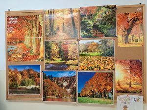 fotografie jesiennych drzew