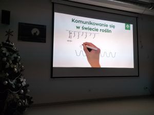 na zdjęciu schemat komunikacji między roślinami