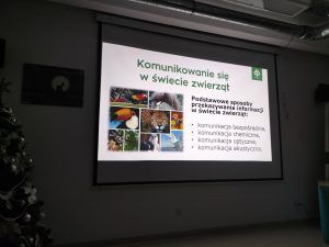 na zdjęciu formy komunikacji między zwierzętami