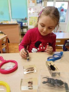  Do czego służy pinceta i moździerz.    /