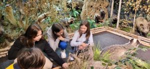 uczennice przy sztucznie wypchanych zwierzętach