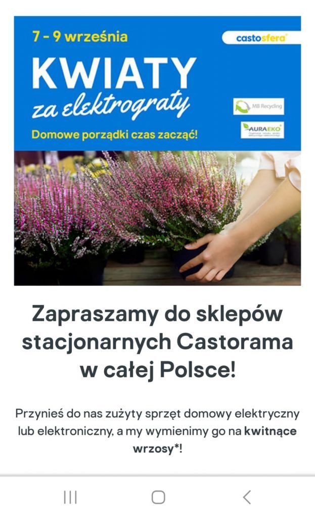 Okazja na upiększenie szkolnych grządek