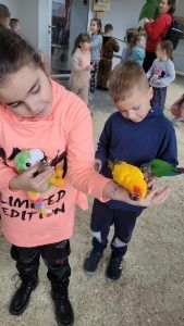 karmienie papug smakołykami