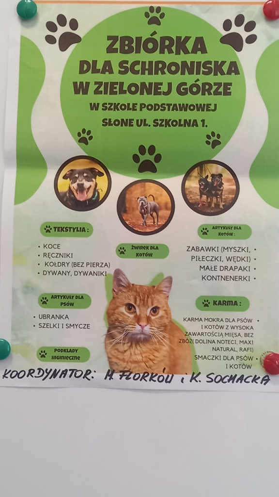 Zbiórka karmy dla bezdomnych zwierząt